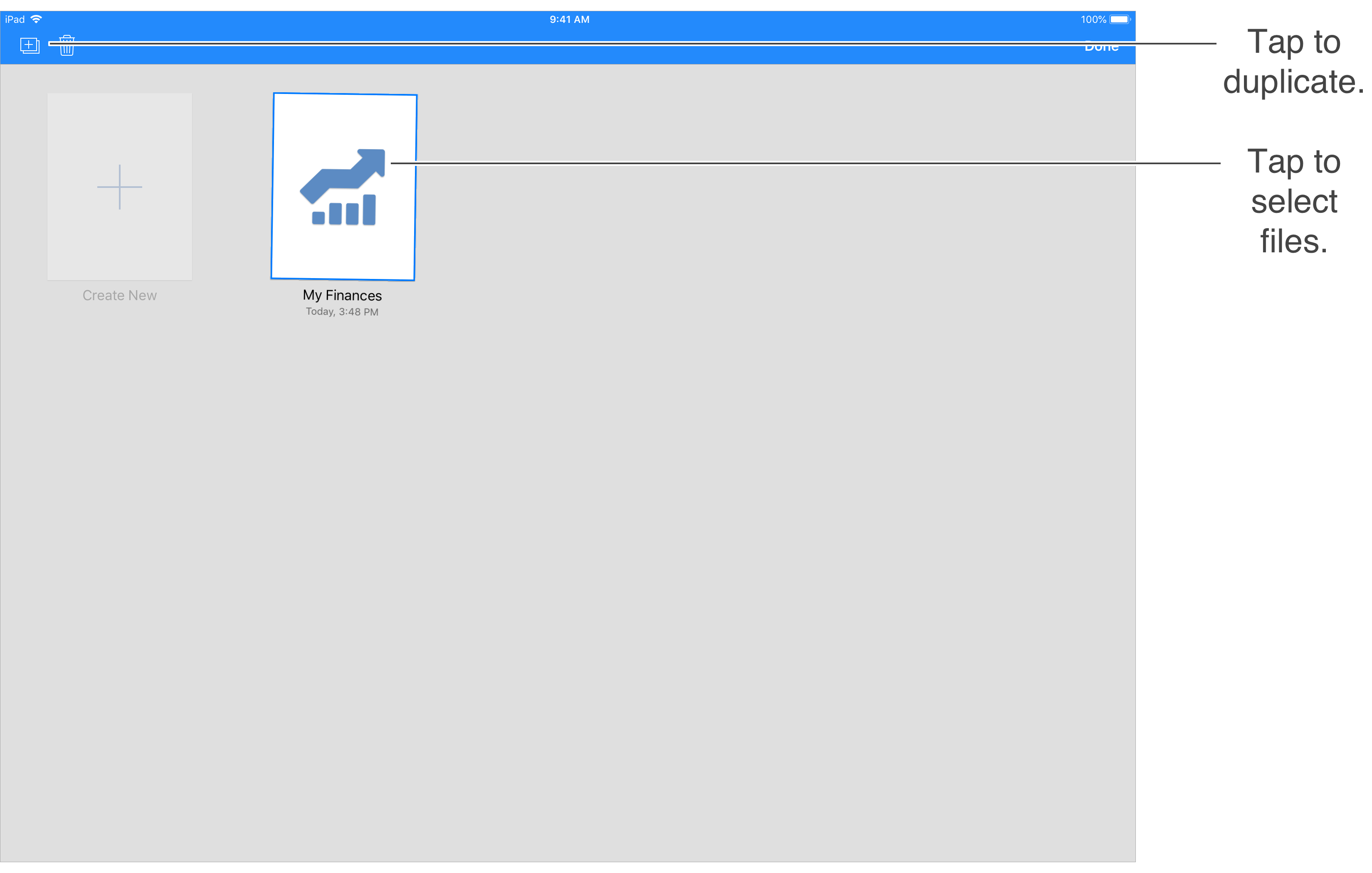 Duplicate Documents