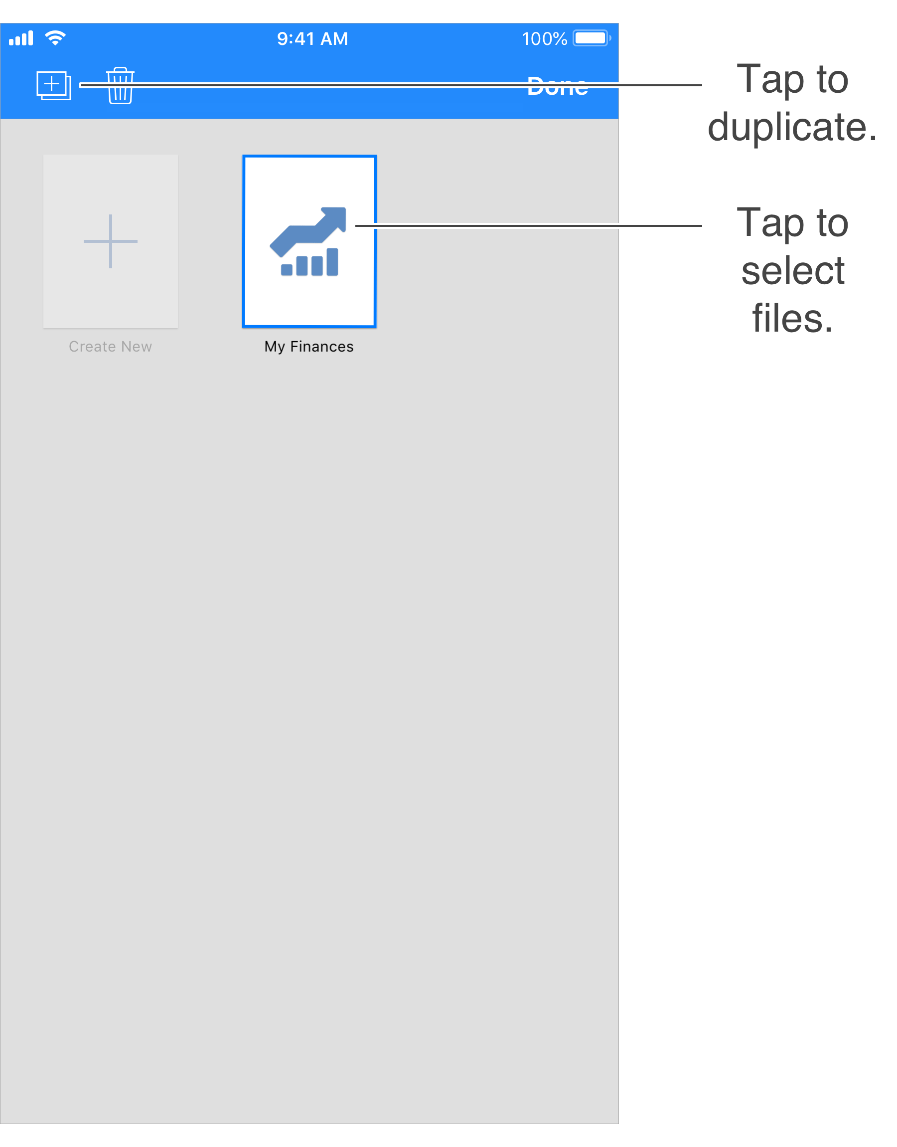 Duplicate Documents